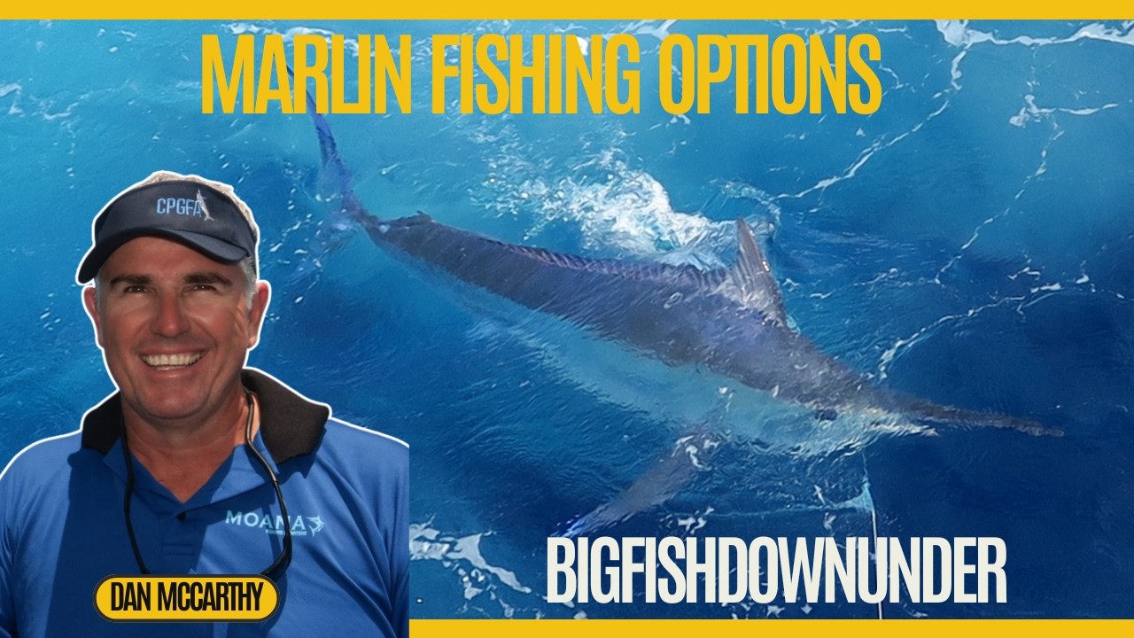 Marlin Fishing Options. What is it really like chasing Giant Marlin on the Great Barrier Reef