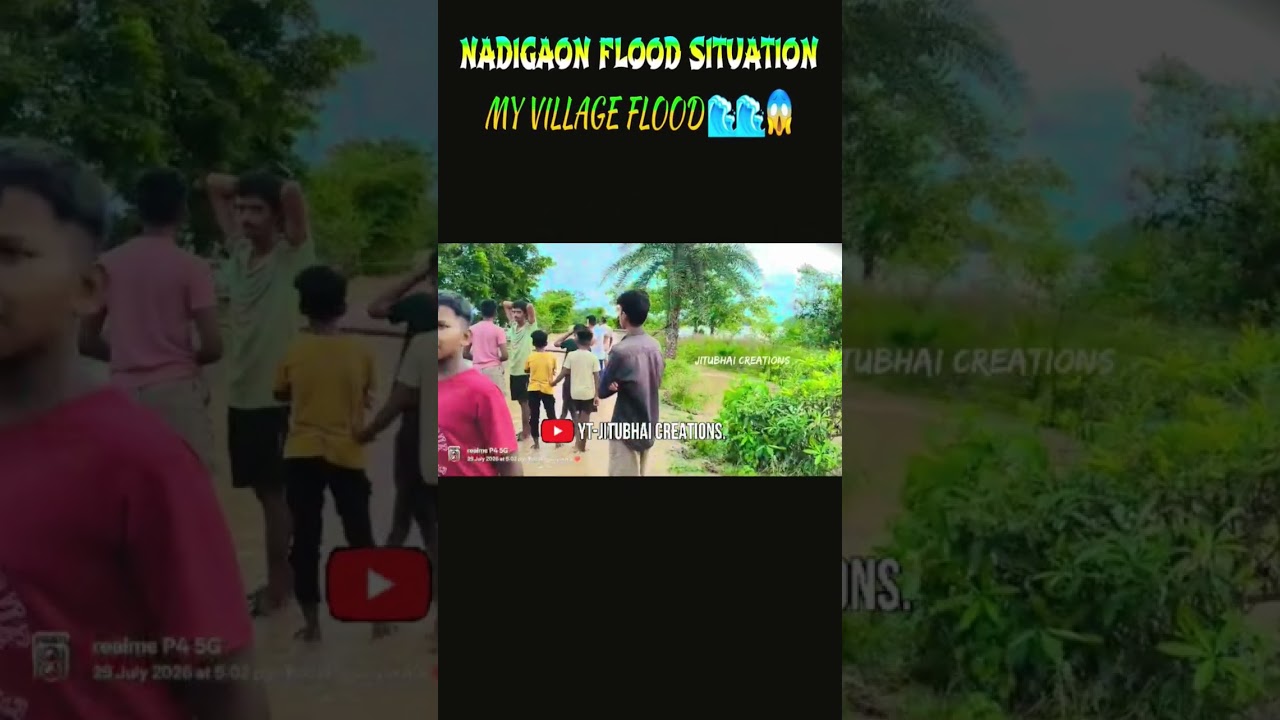 DHAMNAGAR VILLAGE ODISHA🌊💧🌧FLOOD😱😱 WATER SITUATION NADIGAON / #shorts #viral #flood # #floodwaters