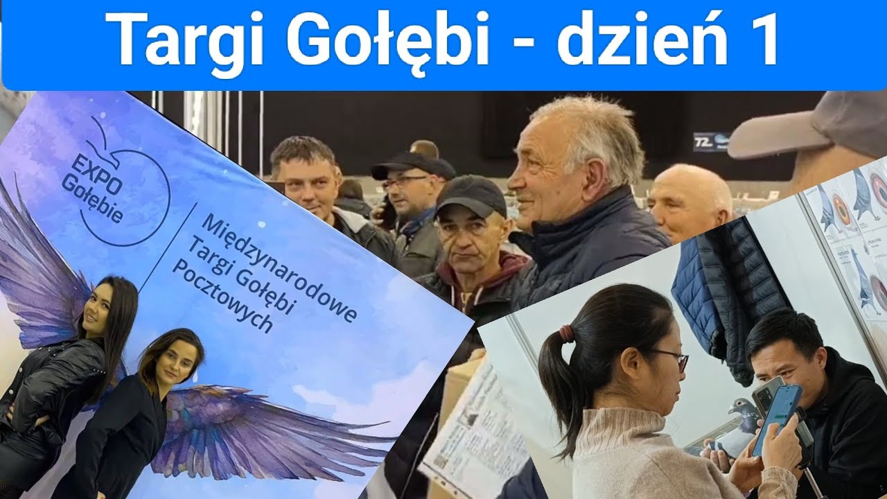 Международная выставка почтовых голубей EXPOGołębie2024 – день 1.