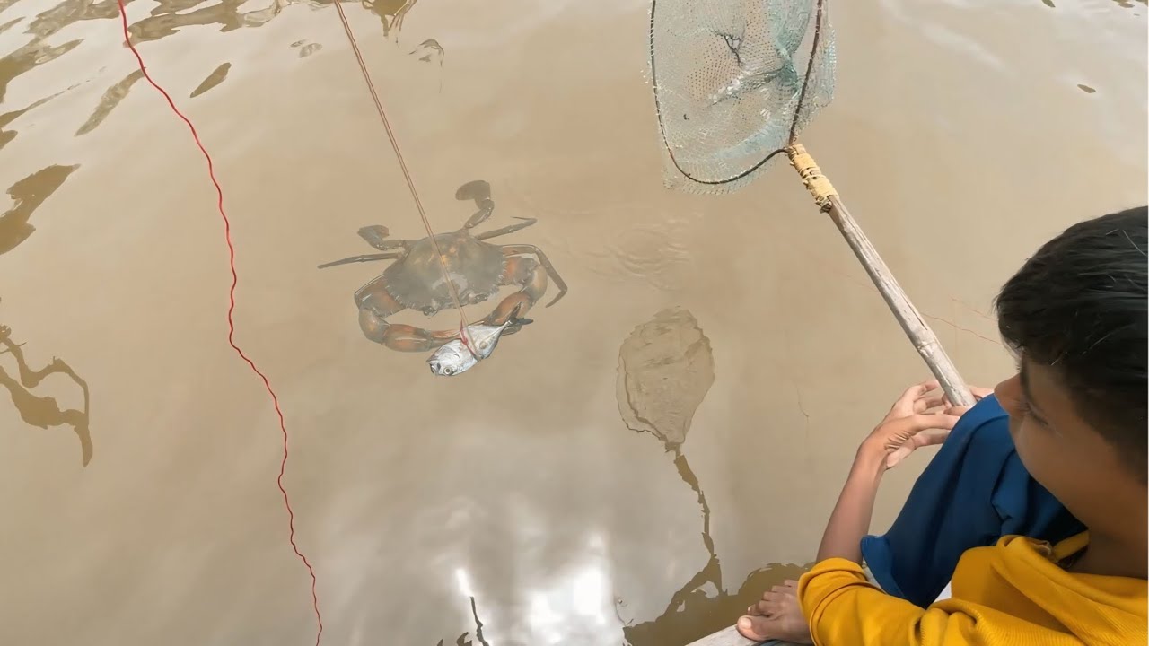 Technique for Modern Crab Hunting: A Traditional Guide