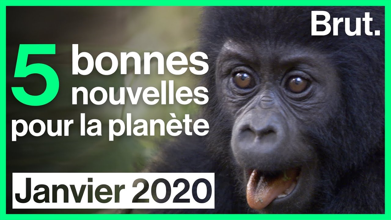 5 bonnes nouvelles en janvier 2020