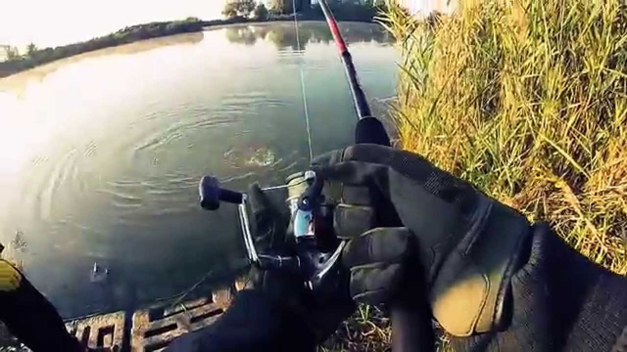 Team RapFish - Spinning al siluro in canal bianco