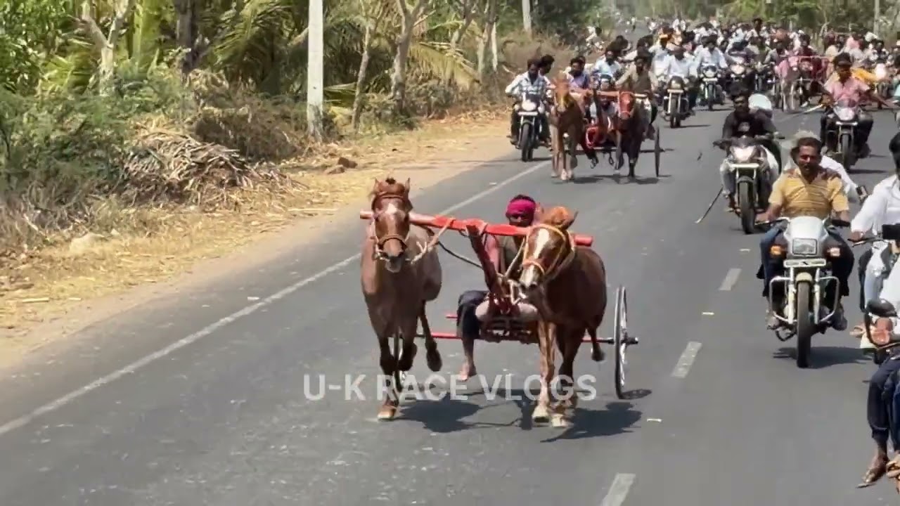 ಮಮದಾಪು ಜನರಲ್ ಕುದುರೆ ಗಾಡಿ ಮೈದಾನ| Mamadapur janaral ghoda sharyat 