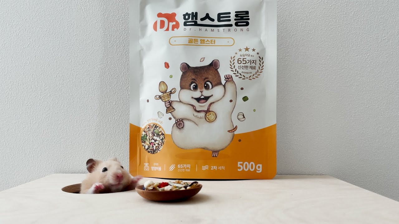 짱 센 햄스터의 밥심, 닥터 햄스트롱!