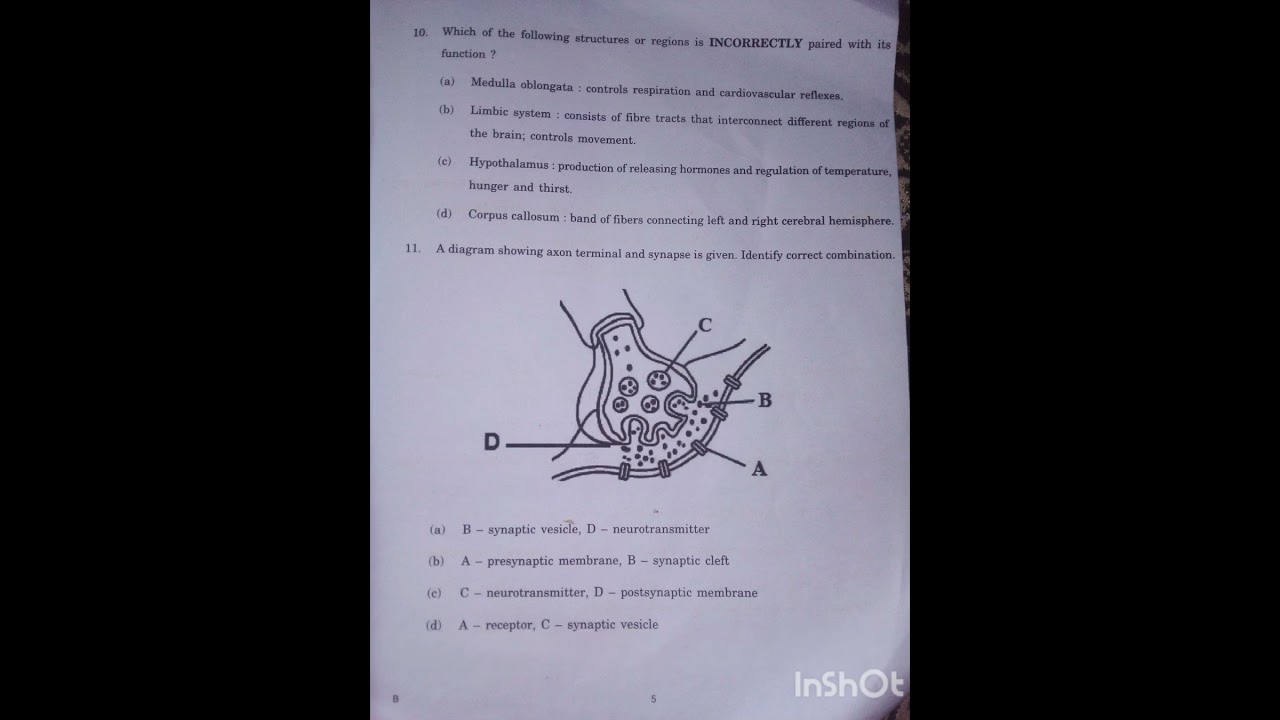 DAV board CLASS 11biology question PAPER 