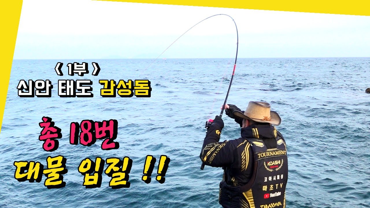 총 18번 대물 입질!! 신안 상태도 감성돔 감생이 갯바위 찌낚시 l Fishing / Japanese black porgy l black sea bream l クロダイ