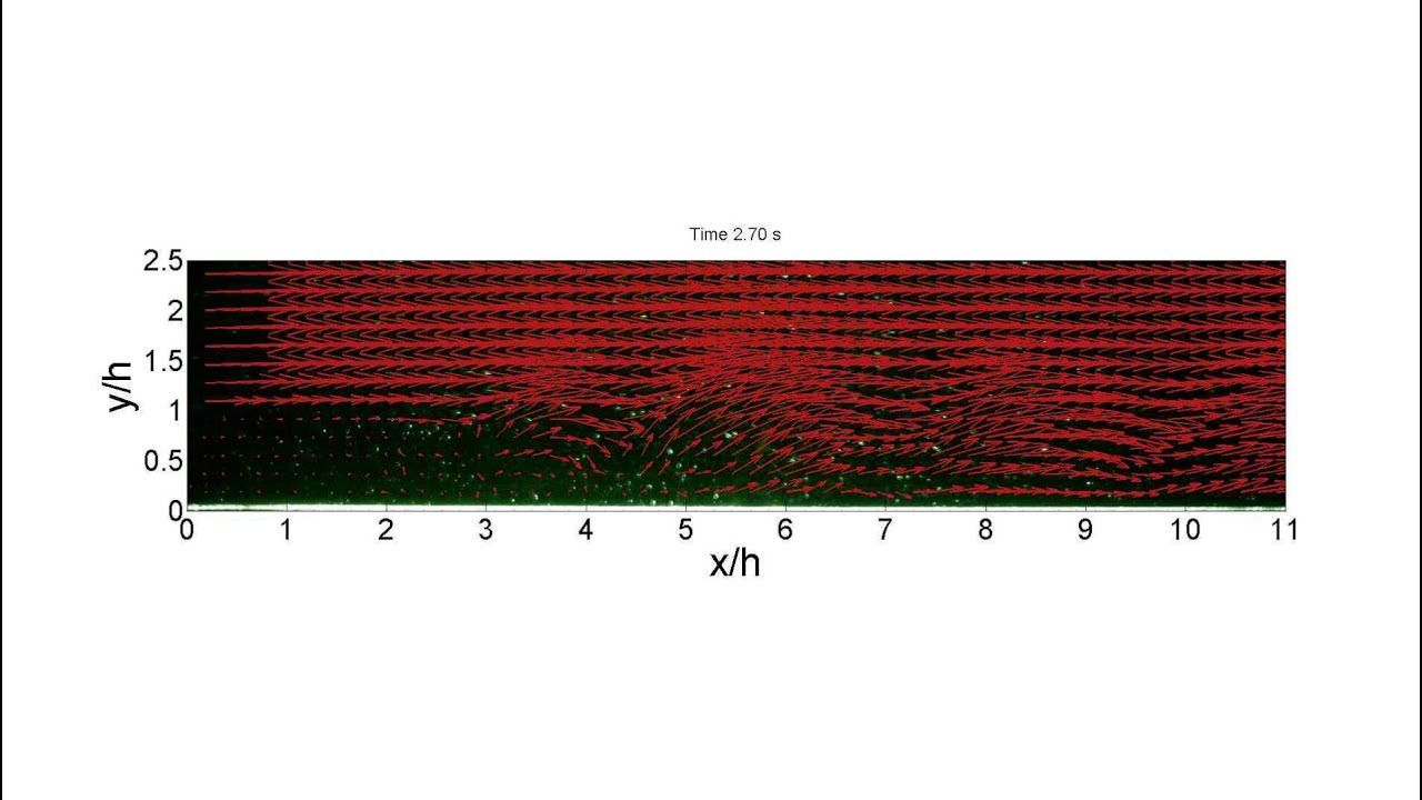 Real-time computation of flow velocity fields