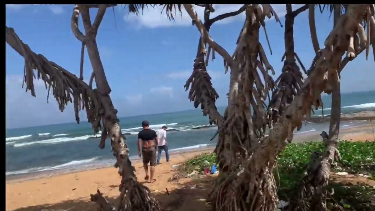 biển rạng hoang sơ và bình yên