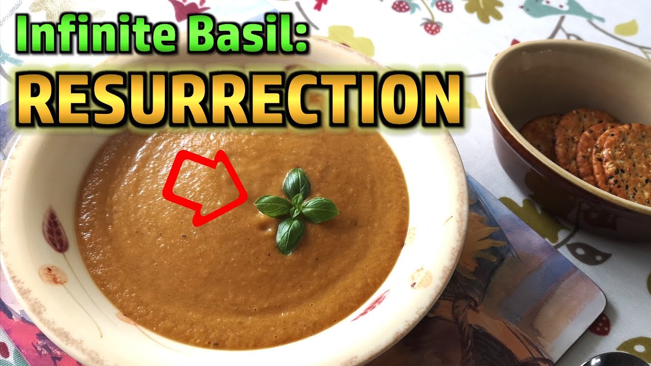 Random Stuff - Infinite Basil: Resurrection, Weird Fungi, Bright lights, Lentil Soup