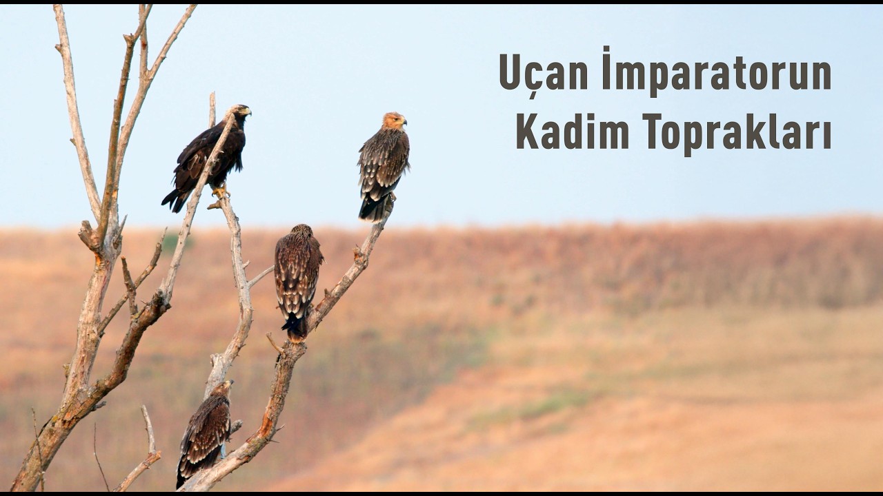 Uçan İmparatorun Kadim Toprakları