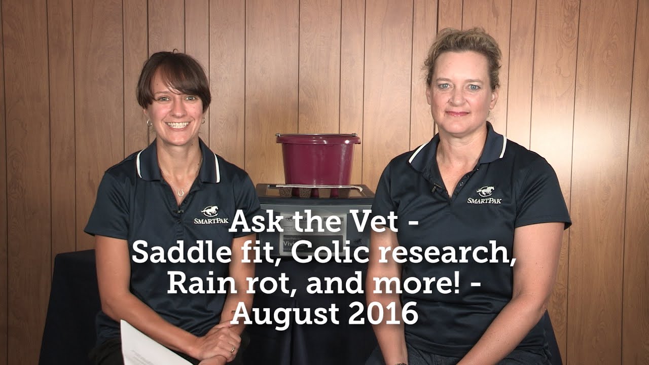 Ask the Vet - Saddle fit, Colic research, Rain rot, and more! - August 2016