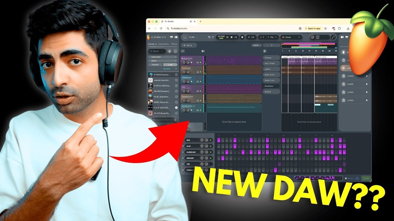 New FL STUDIO DAW?
