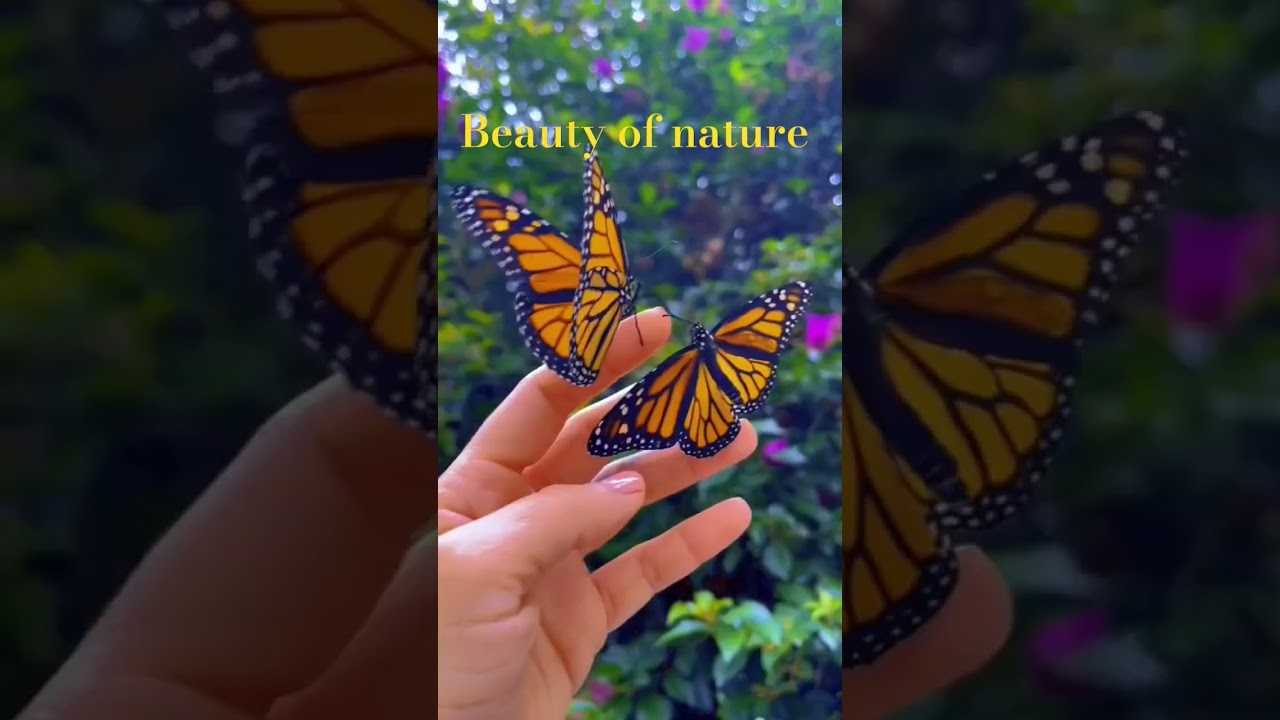 Beauty of nature 