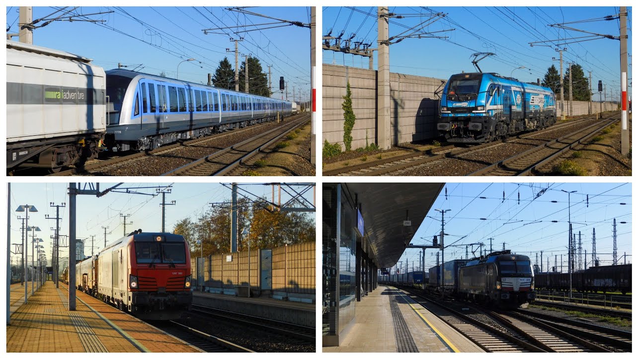 Treni a Pöchlarn e Amstetten (3/3) 🇦🇹 (06.11.25)
