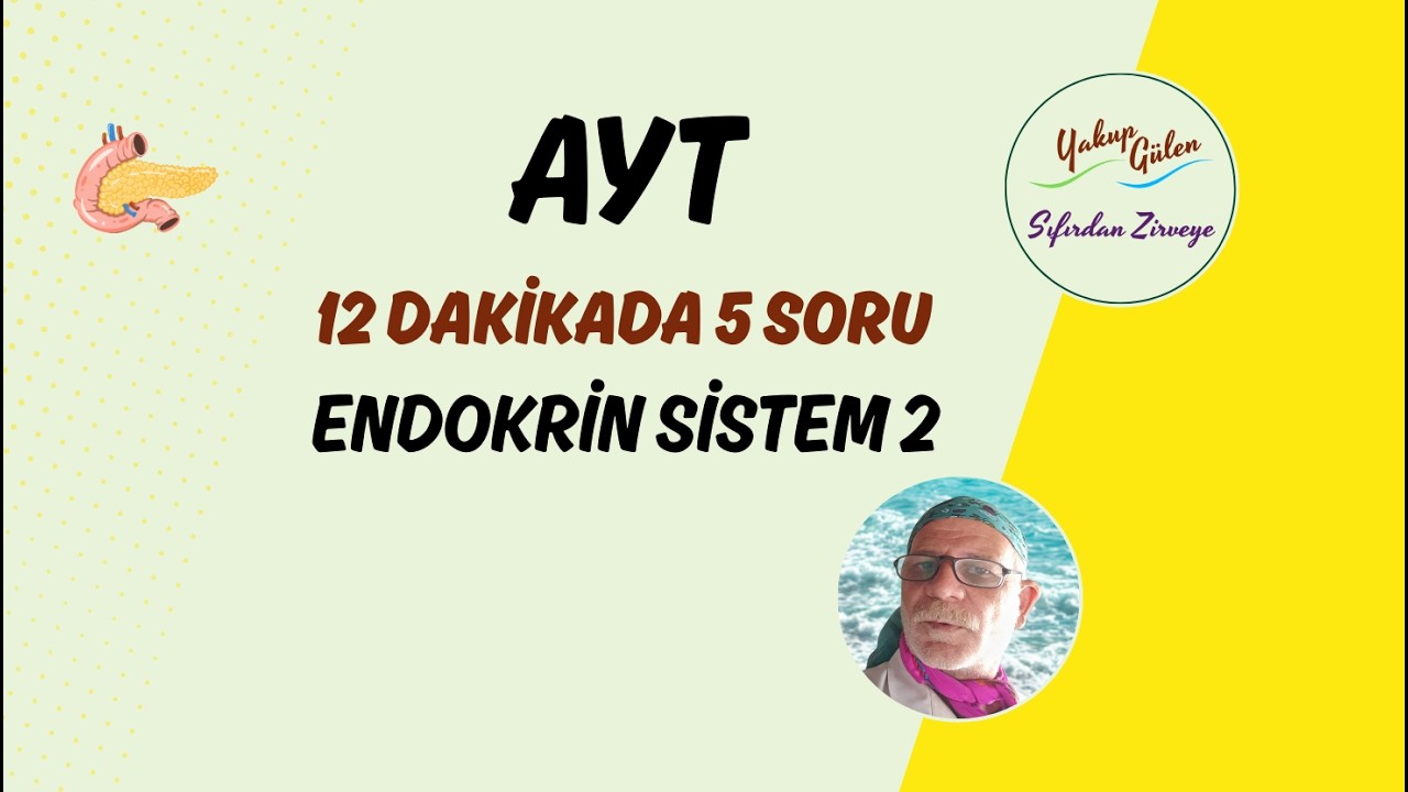 2026 AYT Biyoloji | ❓ENDOKRİN SİSTEN 2| 🚀 Sıfırdan Zirveye