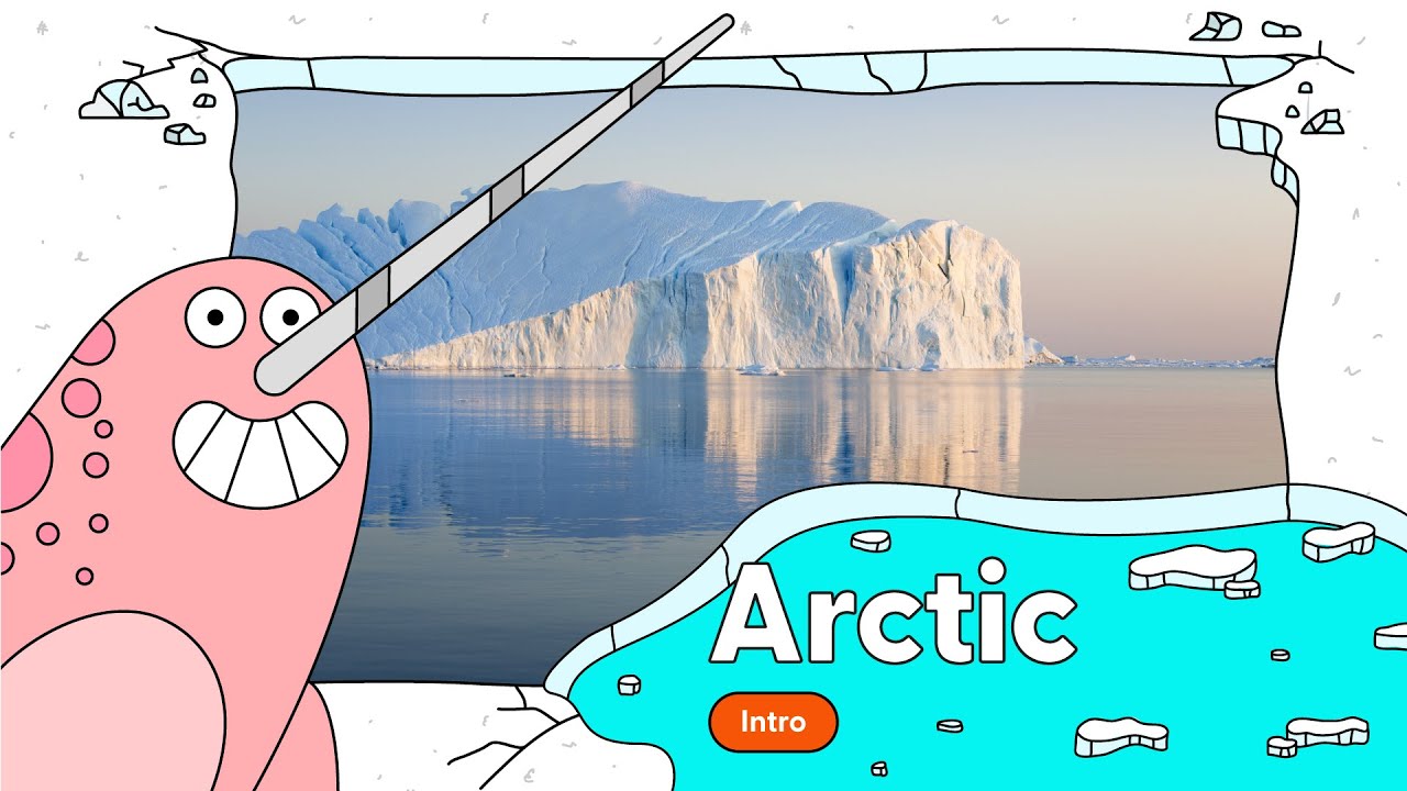 Nigel's Intro to the Arctic