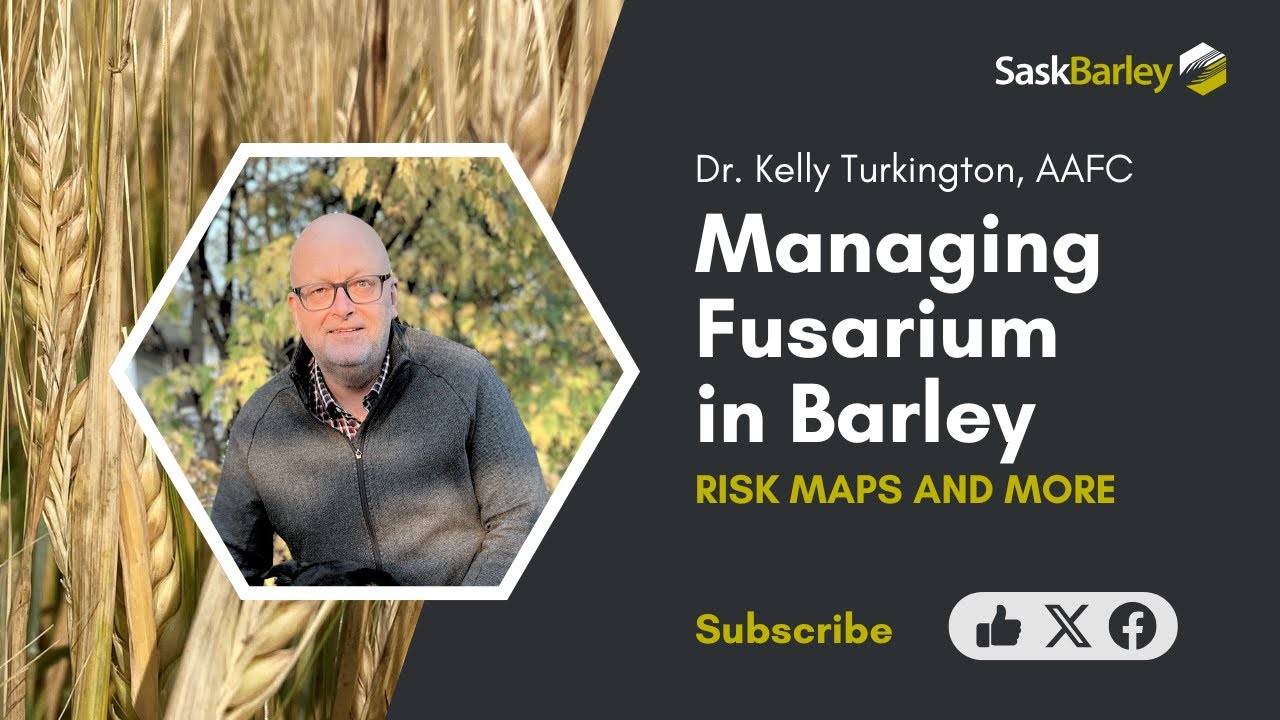 Managing Fusarium in Barley with Dr. Kelly Turkington | Agriculture and Agri-Food Canada