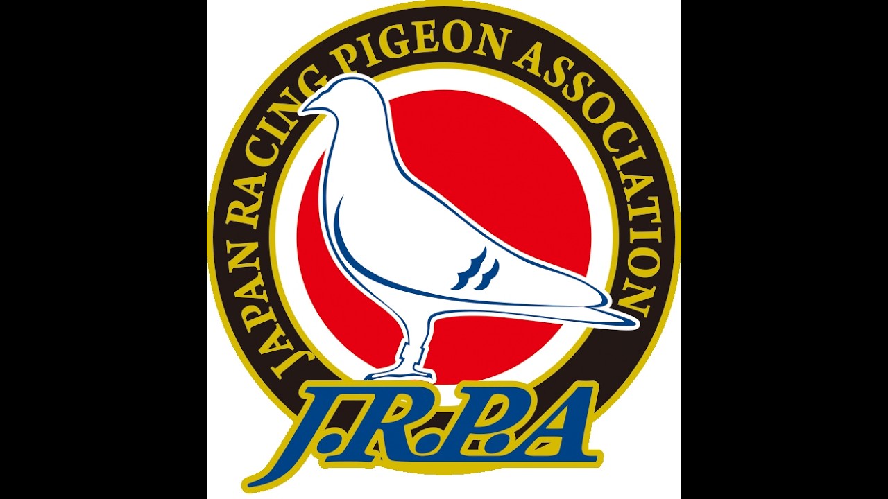 2026年度「伊賀国際ウィナー＆連合会対抗レース300K」帰還中継