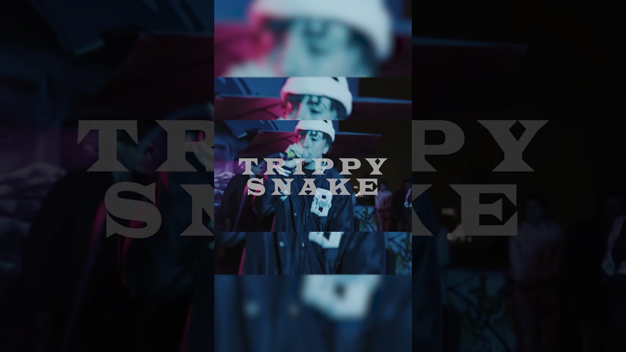 Trippy Snake en Proyecto 8