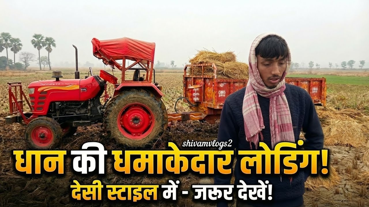 धान की धमाकेदार लोडिंग 🚜 | Tractor से धान भराई | Desi Farming Vlog | Village Life #farmingvlogs