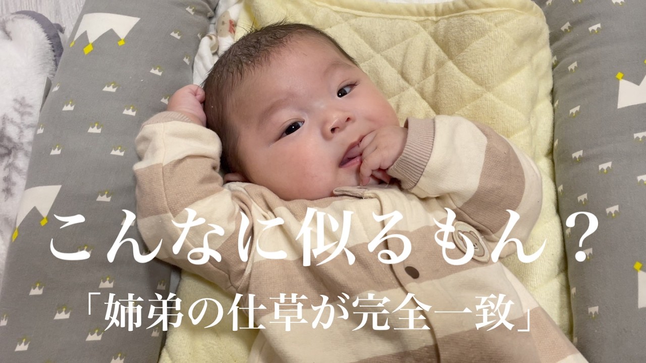 姉弟間での遺伝がすごすぎる