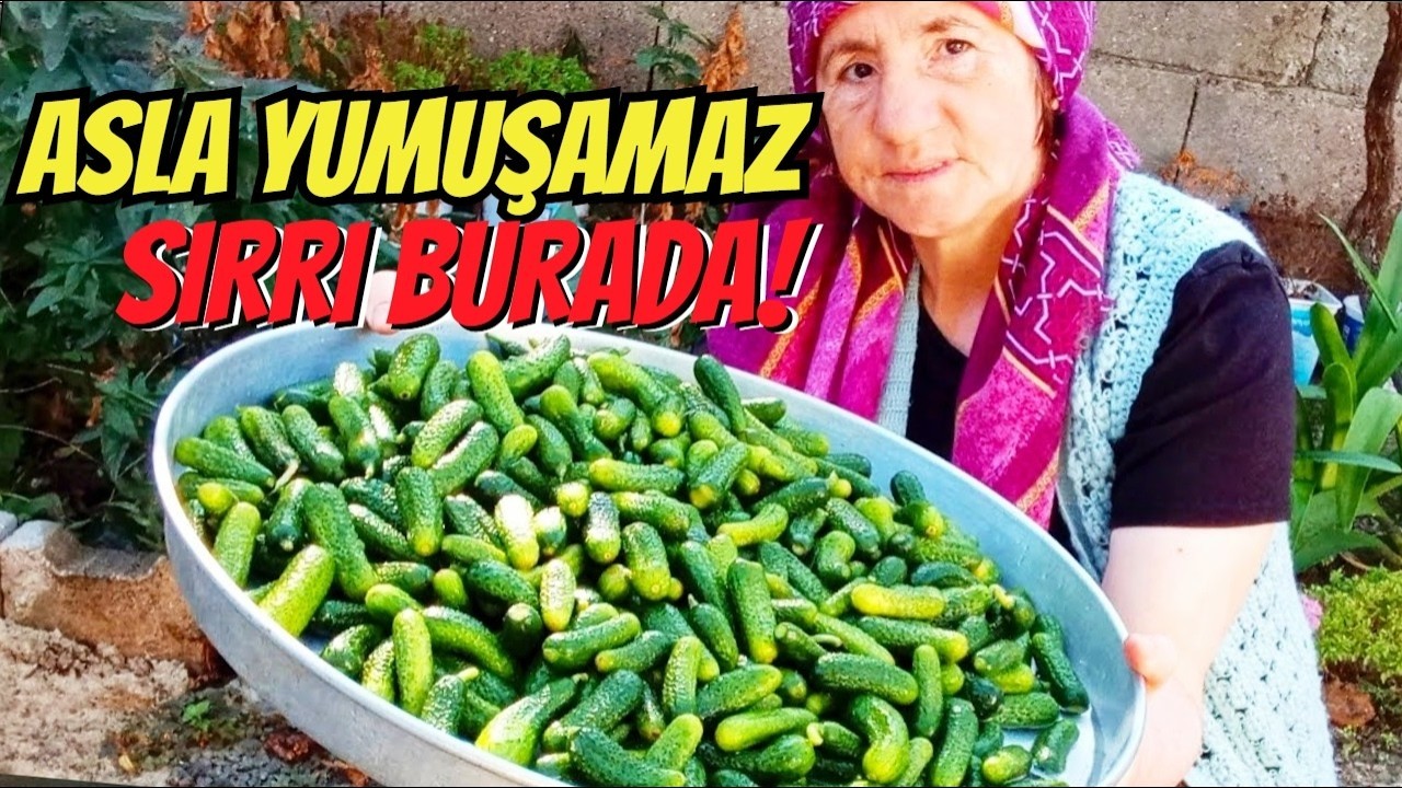 Самый популярный рецепт солений! Хрустящие корнишоны и огурцы
