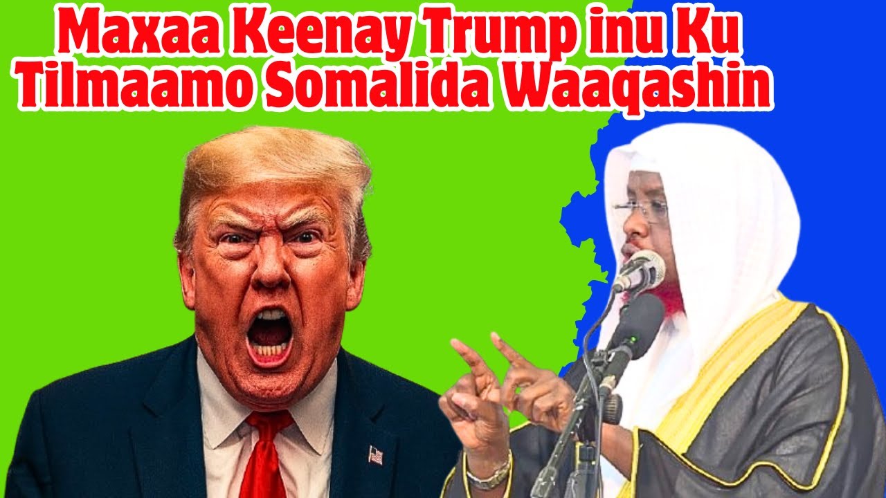 Sh Umal Maxaa Keenay Trump inu Ku Tilmaamo Somalida Waaqashin