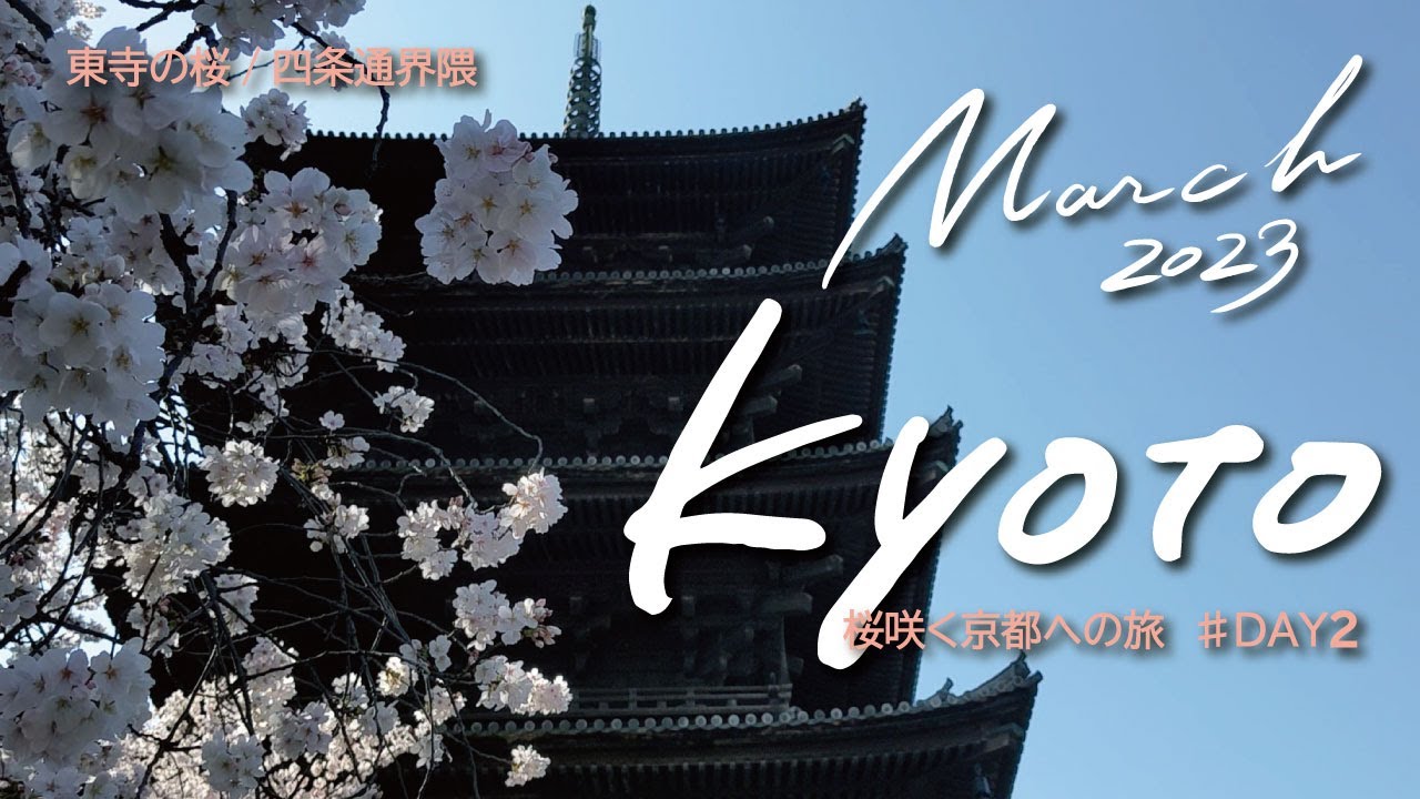 【京都旅行Vlog】OMO3東寺に泊まって桜咲く京都へ２日目｜桜満開！東寺へお詣り｜街のカフェでモーニング