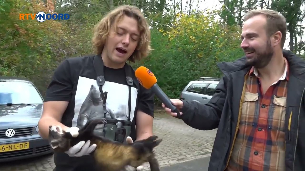 Bunzing met RTV Noord