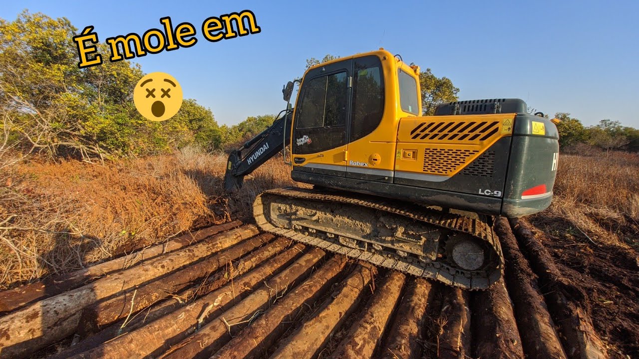 escavadeira no banhado com madeira op iago