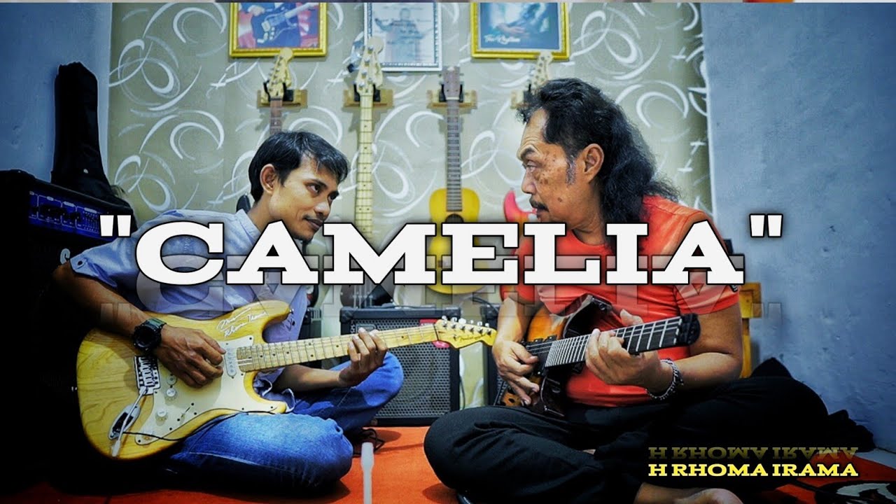 CAMELIA - H RHOMA IRAMA