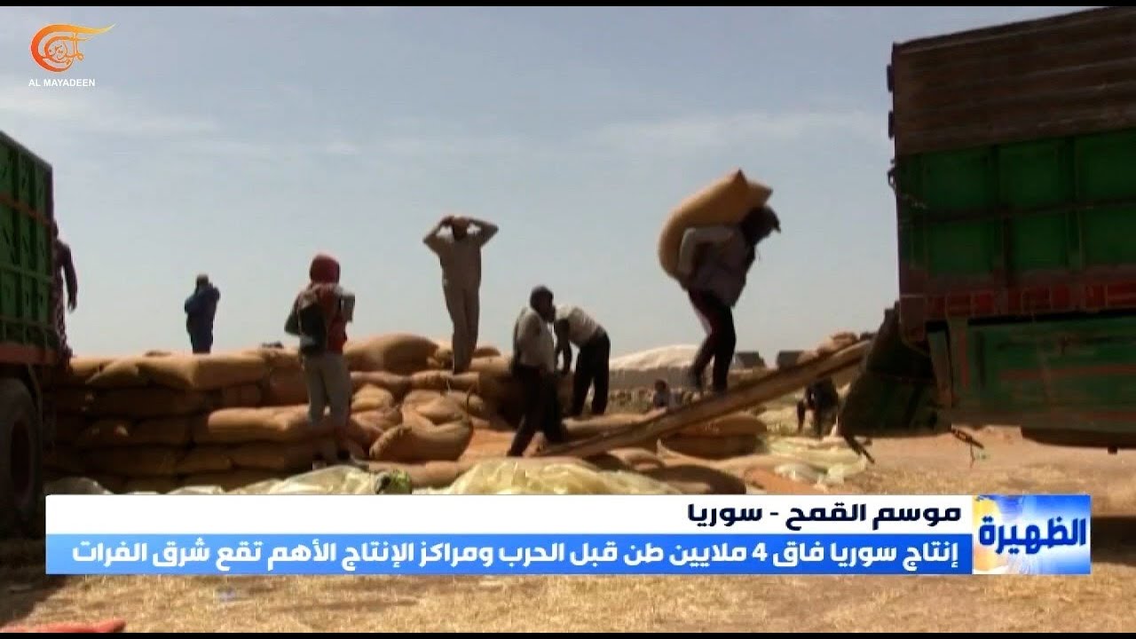 كميات القمح في صوامع ومراكز تخزين الحبوب السورية تزيد عن ستمئة ألف طن