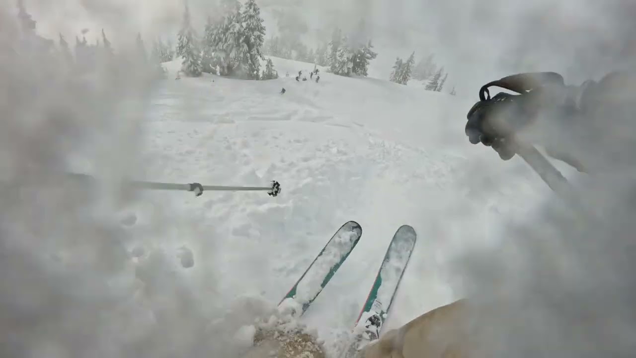 Powder Mountain Cat Skiing 2026