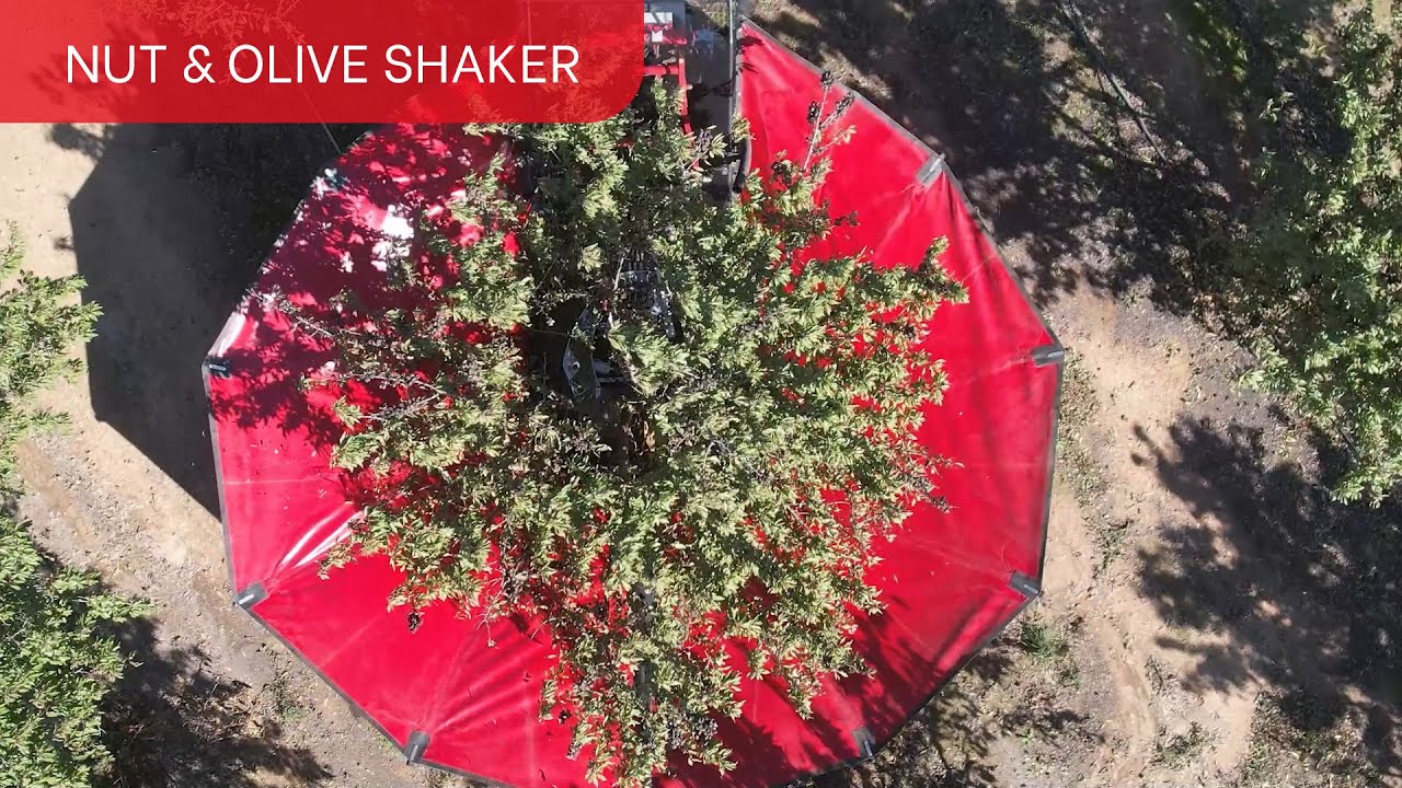 The Ultimate Tree Shaker for Almonds and Olives | AutoPick GTi