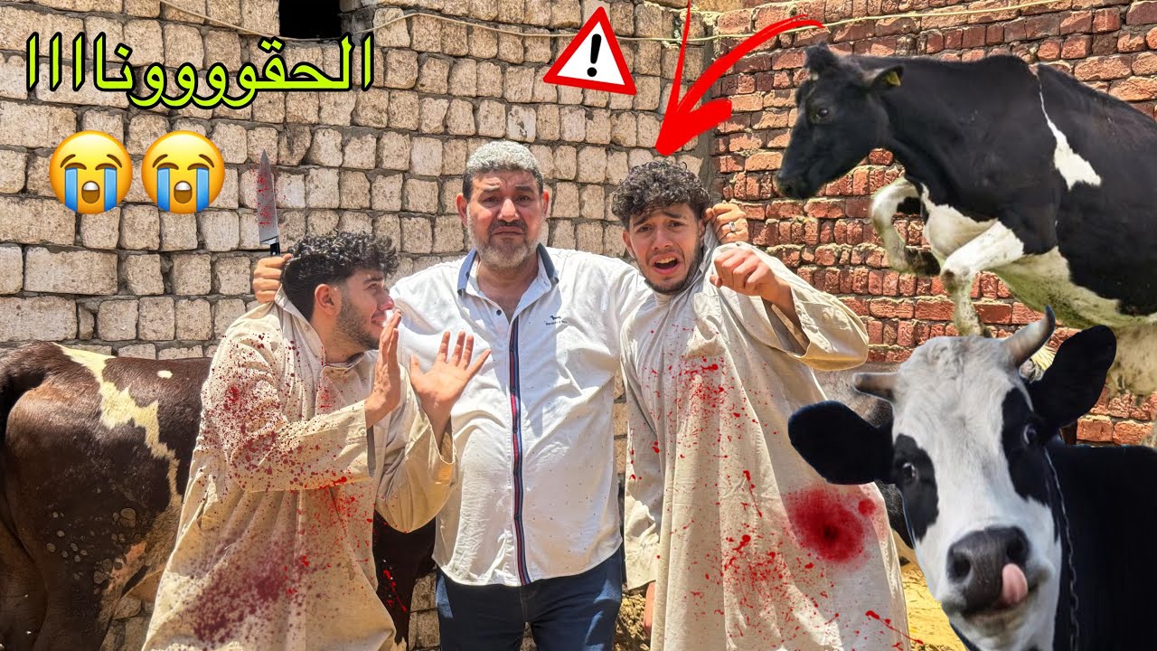 لم ابوك يسيبك في المزرعة مع العجول 🐮والجاموس و البقر🐄 ( التوينز الحبوب ) 😂😂