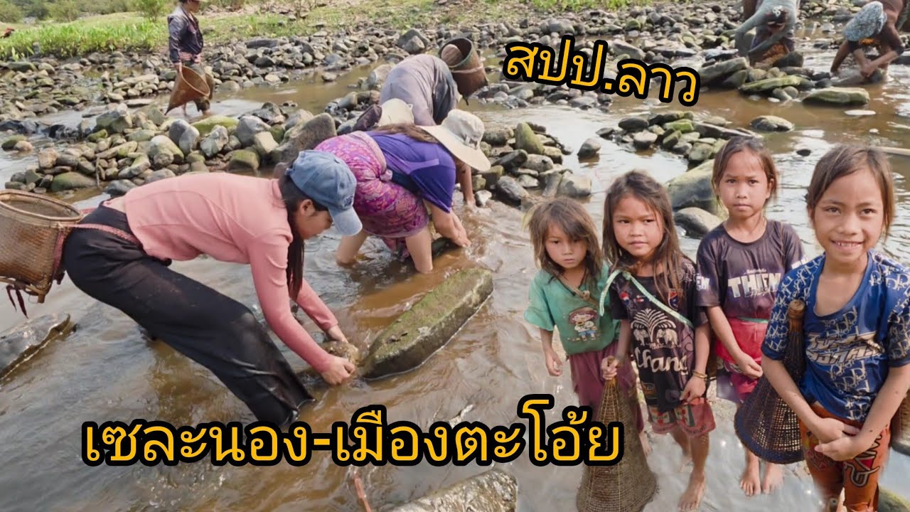 #เที่ยวลาวใต้ เซละนองน้ำน้อย ชาวบ้านลงหาปลาตามวิถี #บรรยากาศ สุดยอดมากๆ เมืองตะโอ้ย#แขวงสาละวัน#food