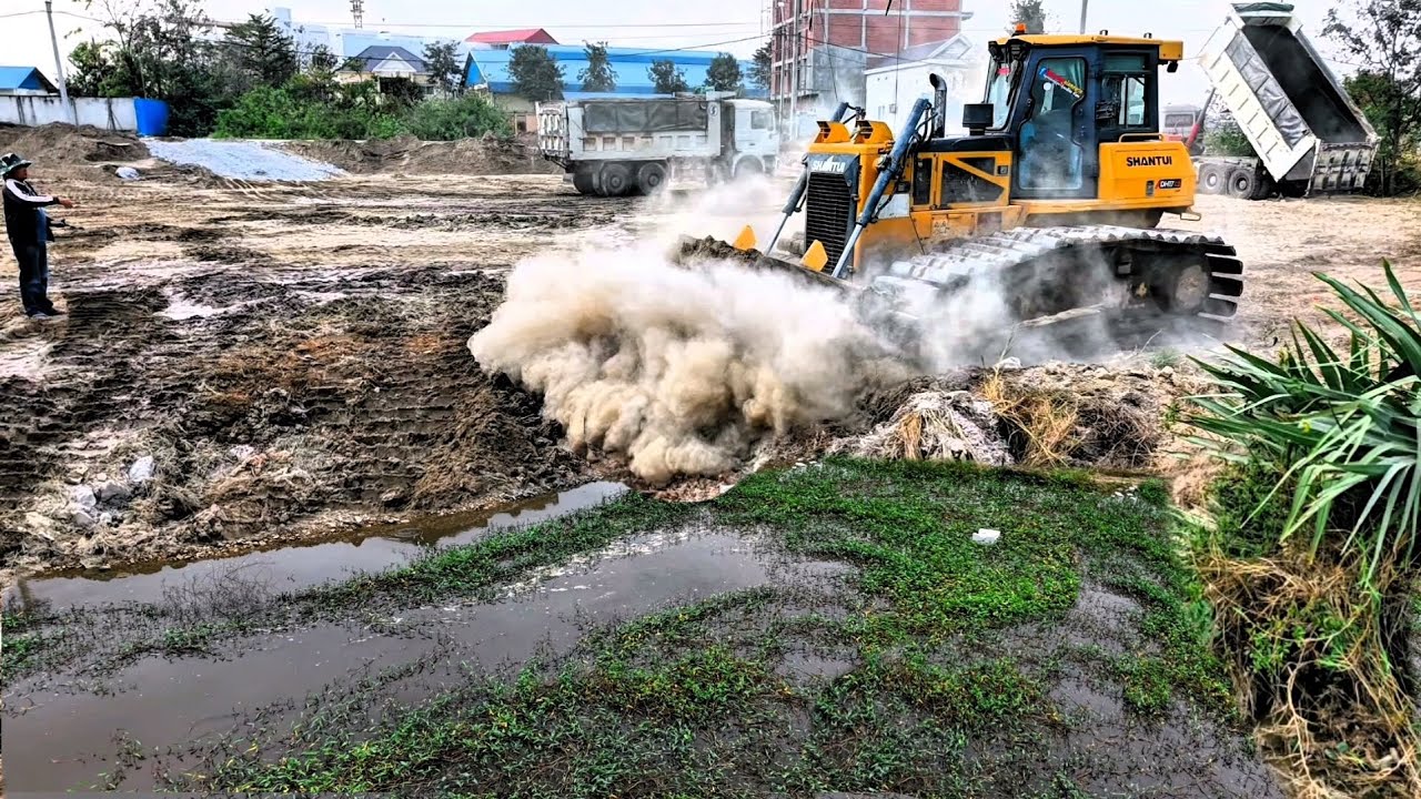 Processing Pushing Site Using Dump Truck25Ton With Dozer DH17C2 Pour Soil into Flooded huge