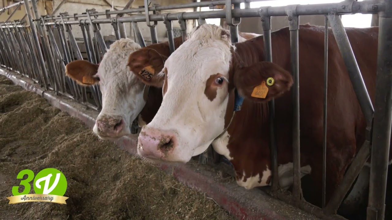 L'AZIENDA AGRARIA SPERIMENTALE "LUCIO TONIOLO" DELL'UNIVERSITA' DI PADOVA