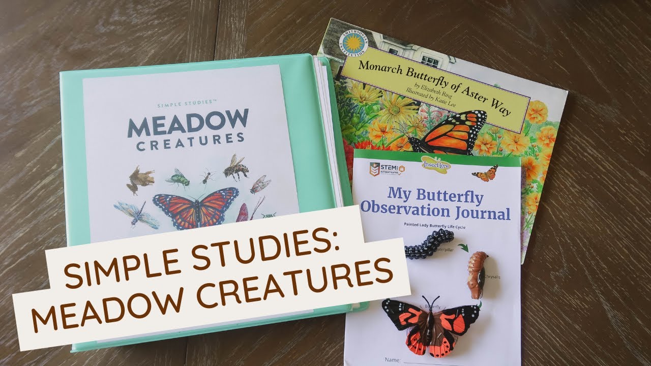 Look Inside: Simple Studies Meadow Creatures