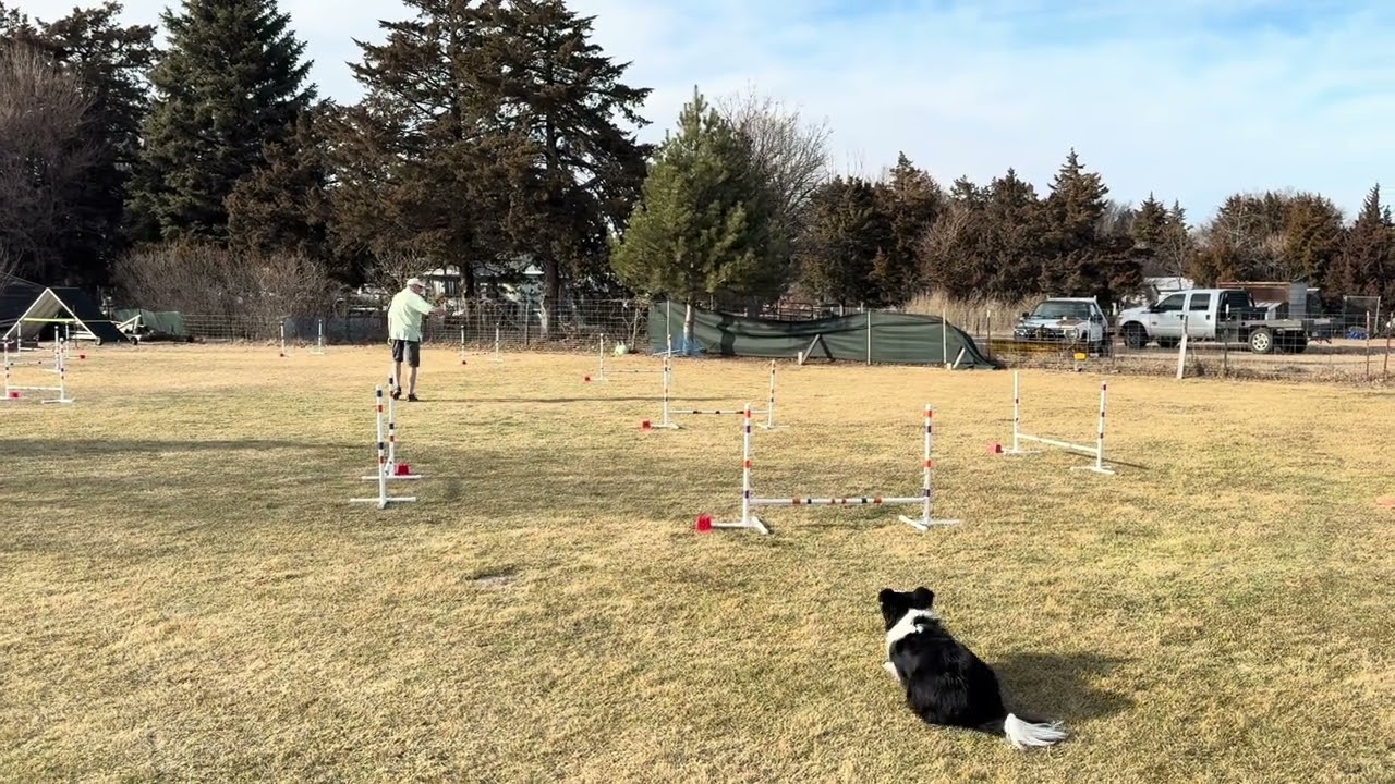 Briley, Heart Jumpers VT 2 NADAC 