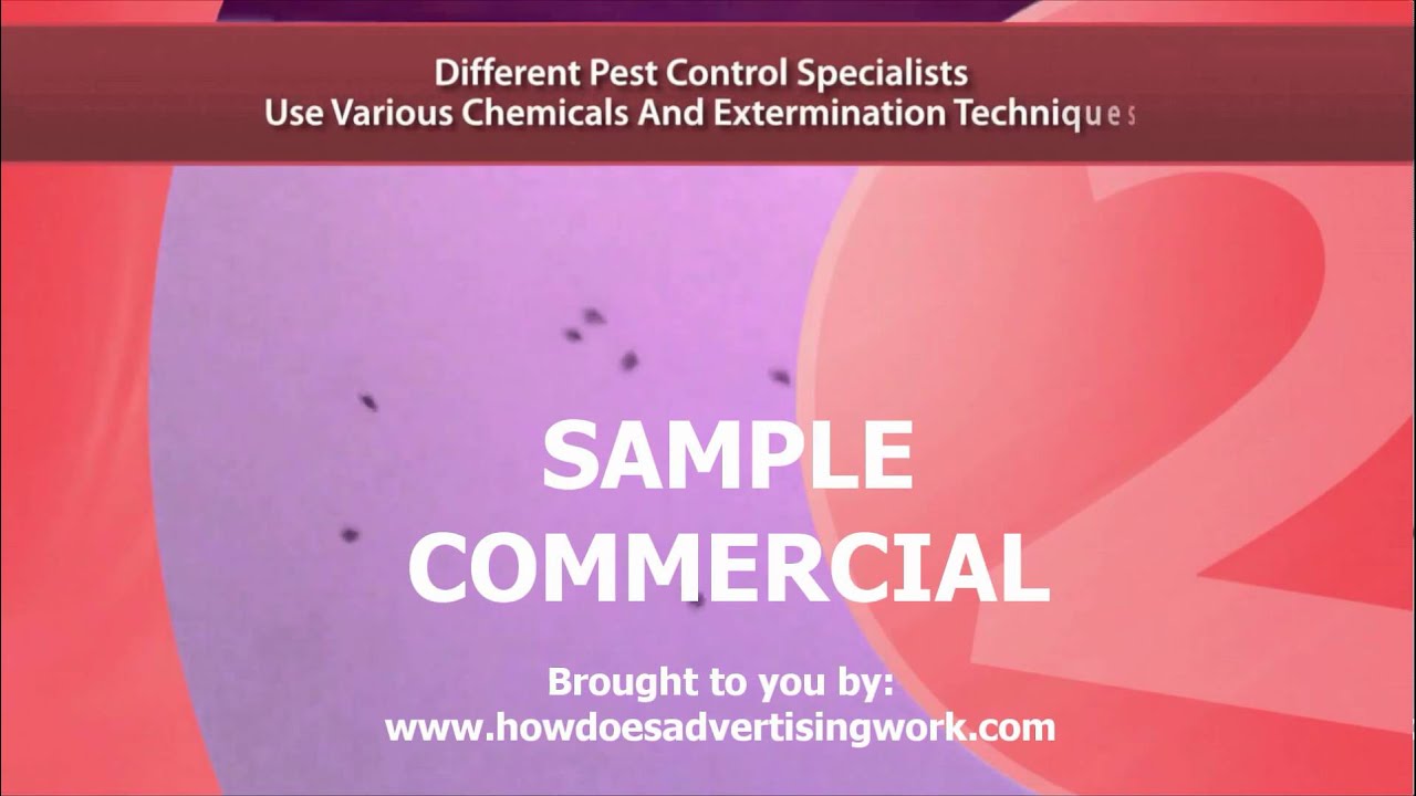 Company Introduction Presentation for Local Pest Control Specialist