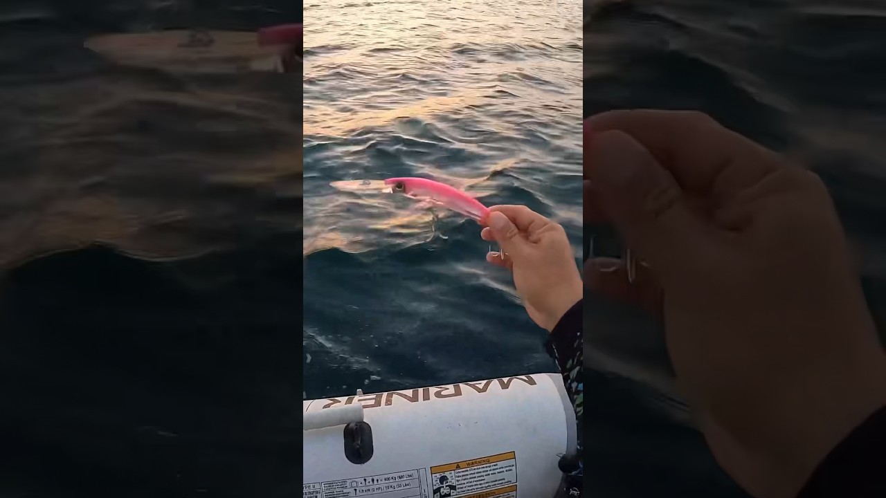 Ser&aacute; que hoje vai? Unboxing Yo-Zuri 3D Crystal Minnow Deep Diver #fishing #pesca #pescanomar #yozuri