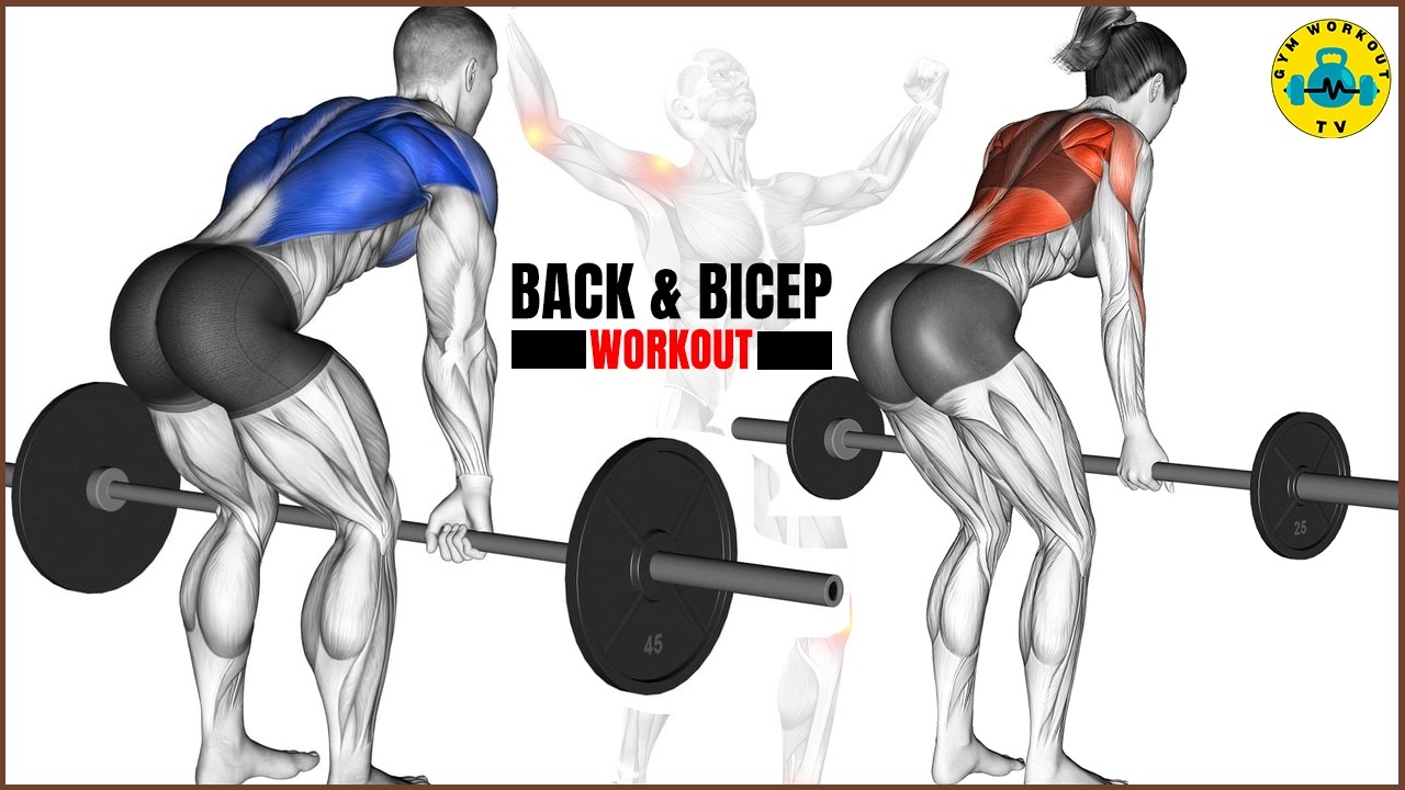 Pull Workout for Beginners - Build Back and Biceps Fast