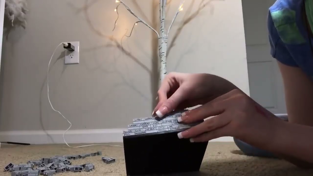 ASMR~ WE NEED TO BUILD THE WALL    😉