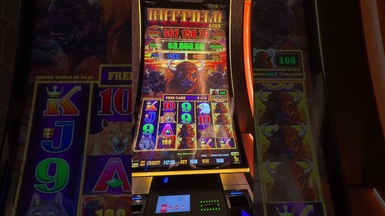 Buffalo Link Slot Free Feature Hit and Run! #slotmachine #slot #casino #gambling #bonus