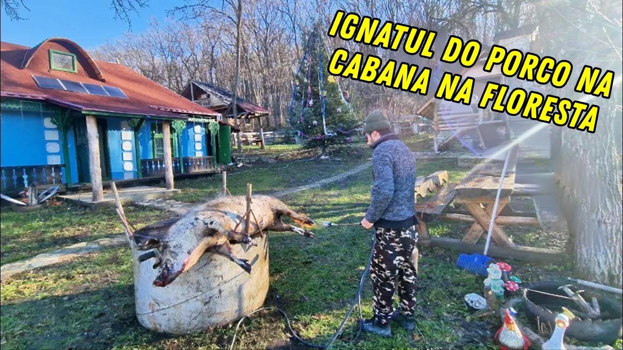 A Fogueira do Porco na Casa da Floresta!!