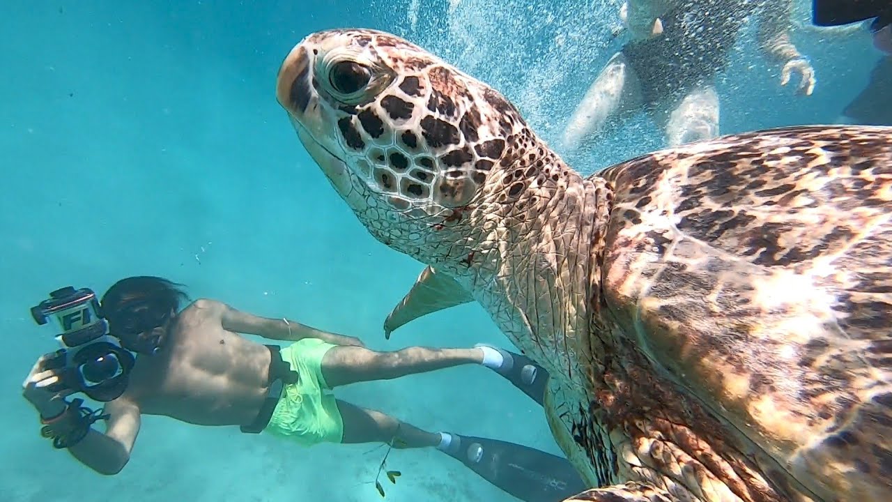 Egipt.Marsa Alam.Spacer z portu Ghalib.