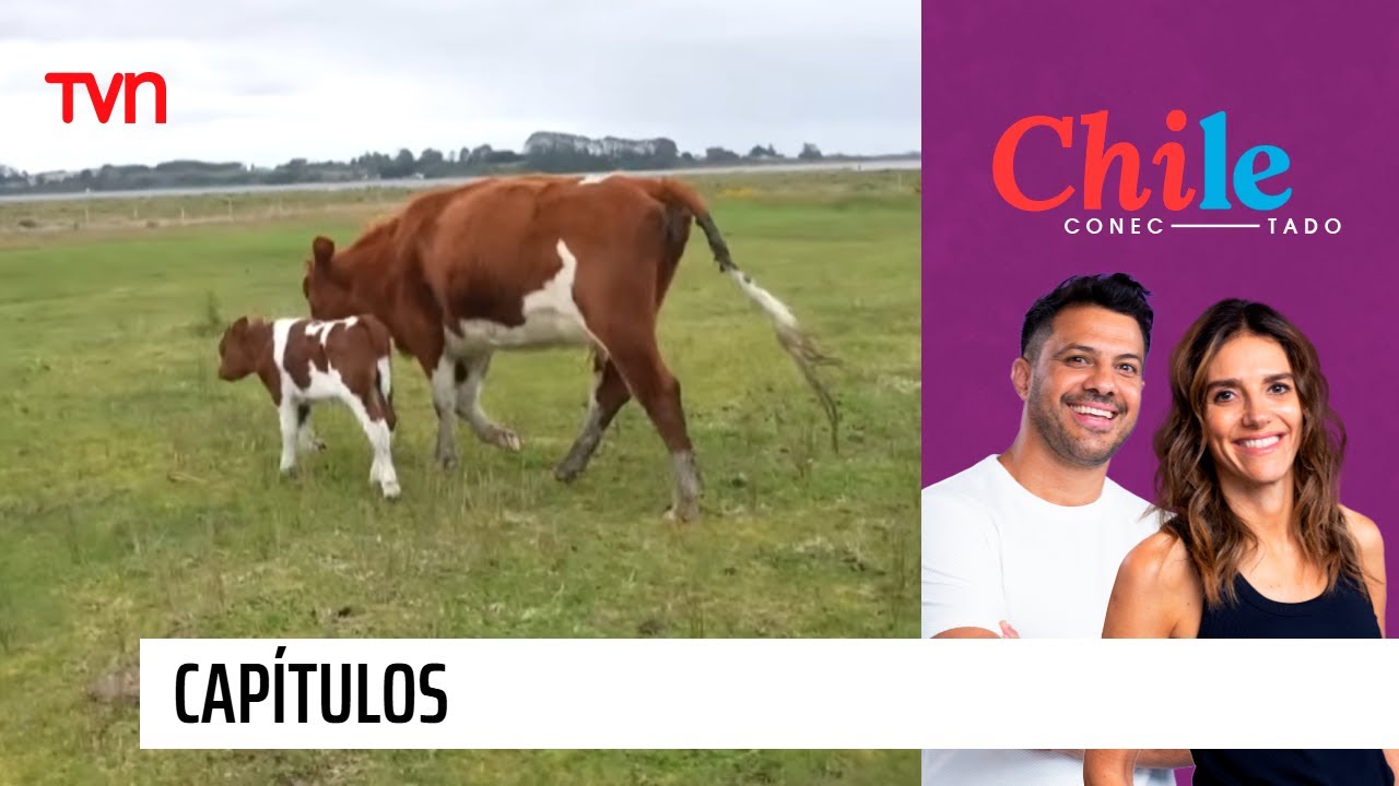 Chile Conectado: Capítulo 1 de noviembre de 2025