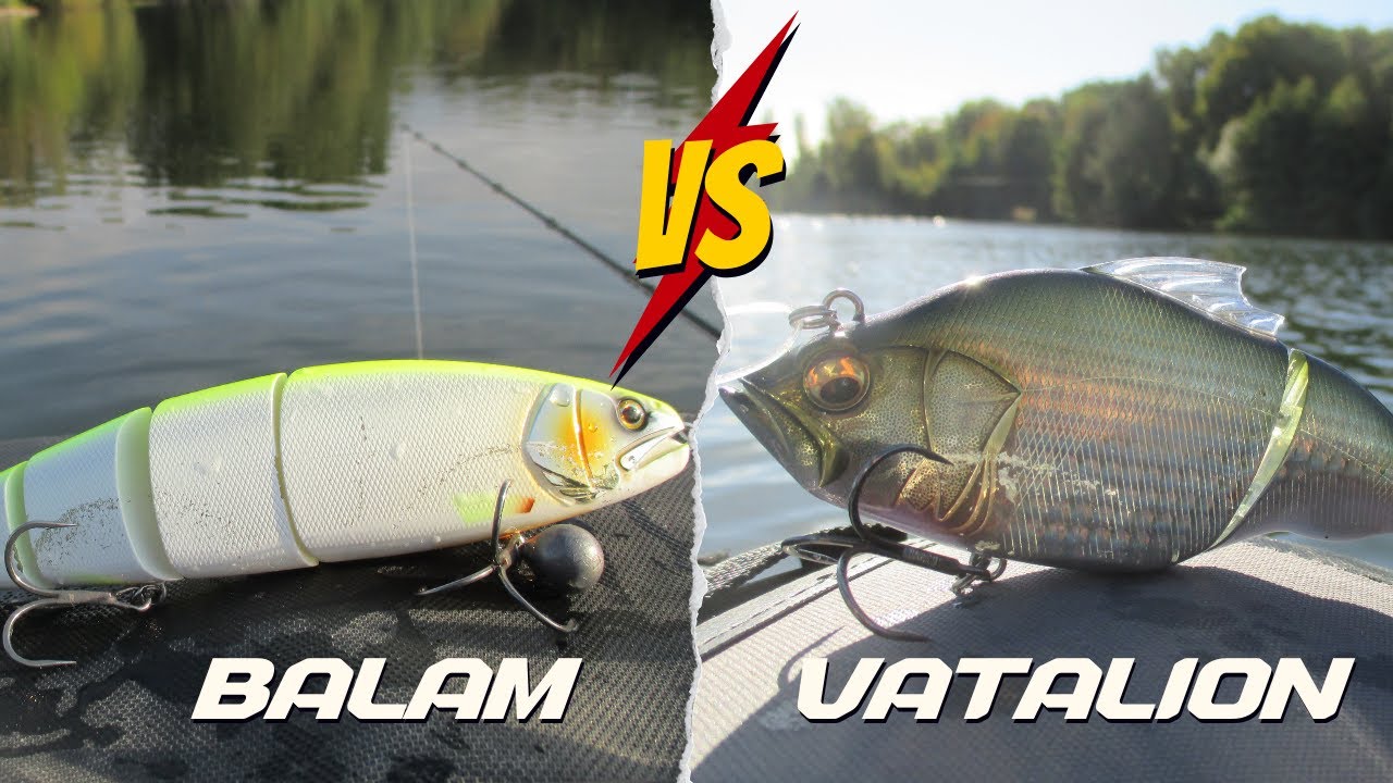 PÊCHE DU BROCHET AU BALAM ET VATALION : PROSPECTION D'UN ÉTANG EN FLOAT TUBE