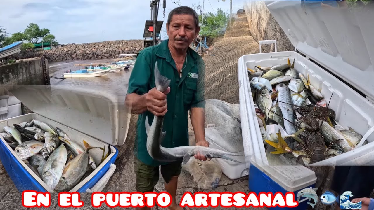 CONOCIENDO DIFERENTES PECES EN EL PUERTO ARTESANAL 🐟🌊🇸🇻